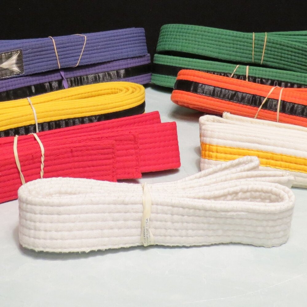 Taekwondo Karate Kung Fu Judo Martial Arts Tiger Claw Kwon Belt Lot of 9 Various